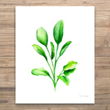 Unframed Botanical Prints 6pc - Greenery