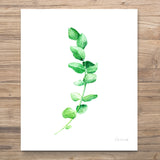 Unframed Botanical Prints 6pc - Greenery