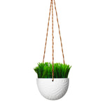 Ceramic Hanging Planters - 1pk Small White