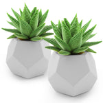 Planter Pot Set - Geometric