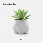 Planter Pot Set - Geometric