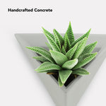 Wall Mount Planter Pot - Triangle