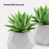 Planter Pot Set - Geometric